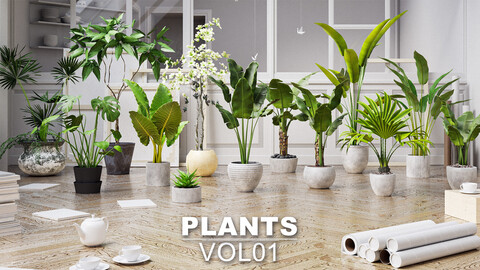Plants Collection Vol01