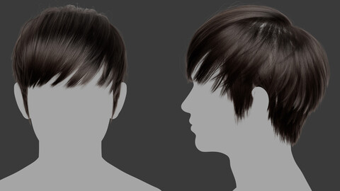 XGen-Hair_C