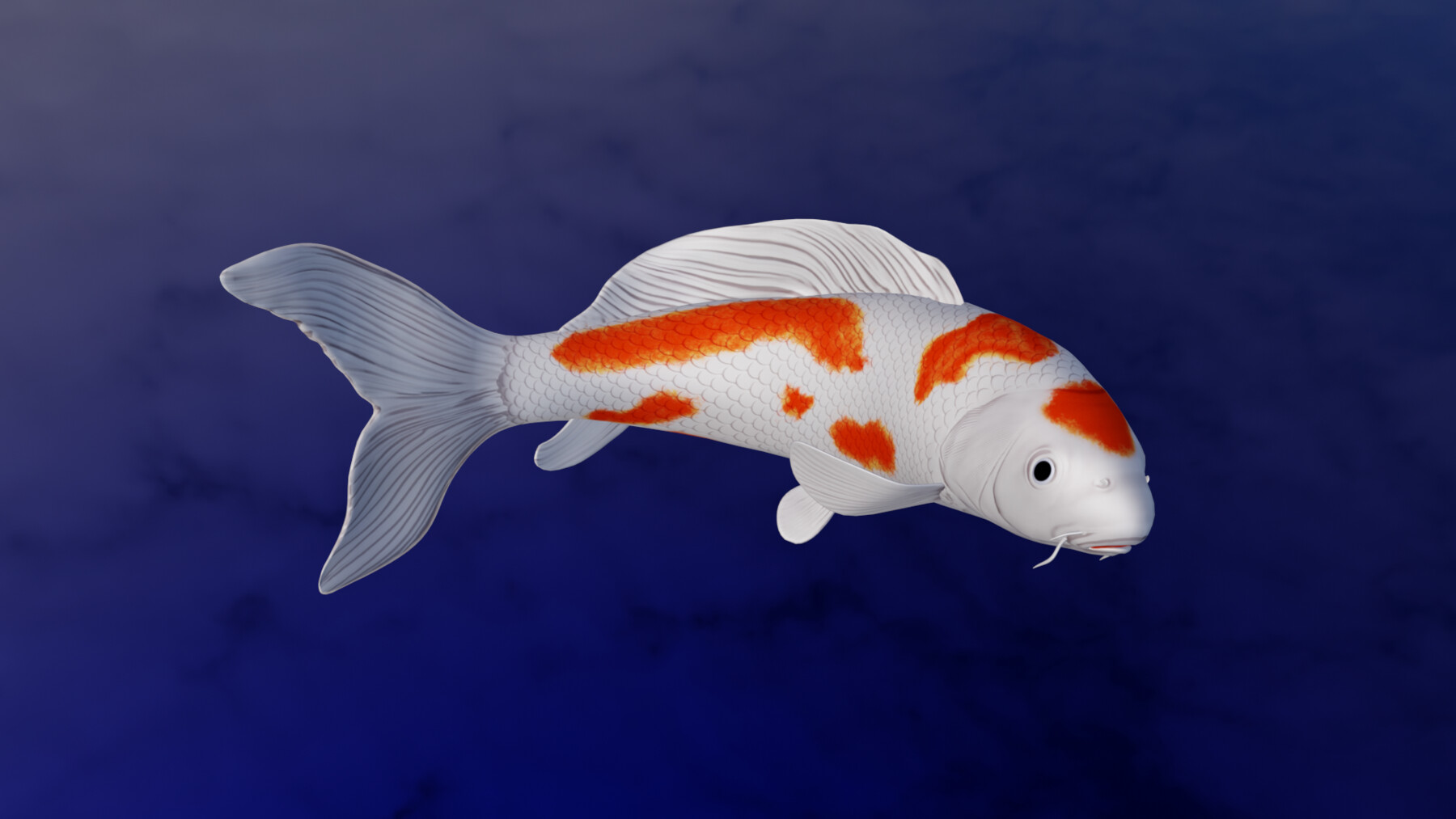 Koi Fish 3D model