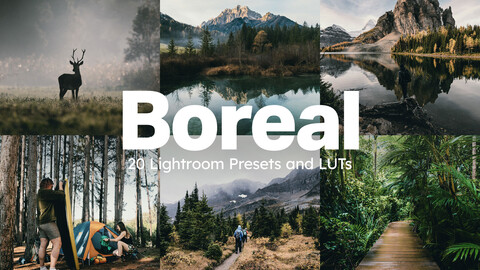 20 Boreal LUTs & Lightroom Presets