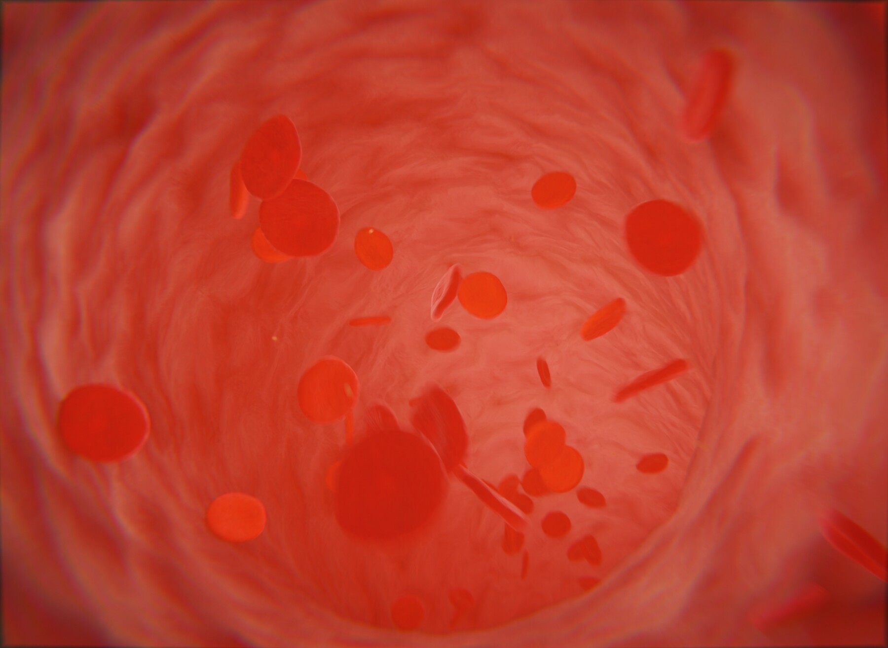 ArtStation - Blood cells in Vein Medical Animation | Resources