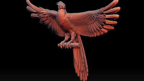 phoenix bird