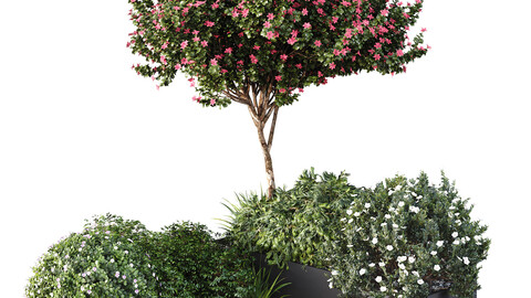 HQ Tree and bush garden box outdoor VOL 06