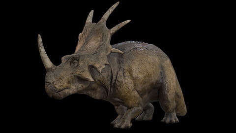 Styracosaurus | Styraco Dinosaur | Ngchipv