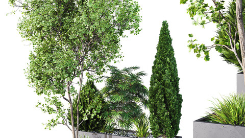 HQ Tree and bush garden box outdoor VOL 03