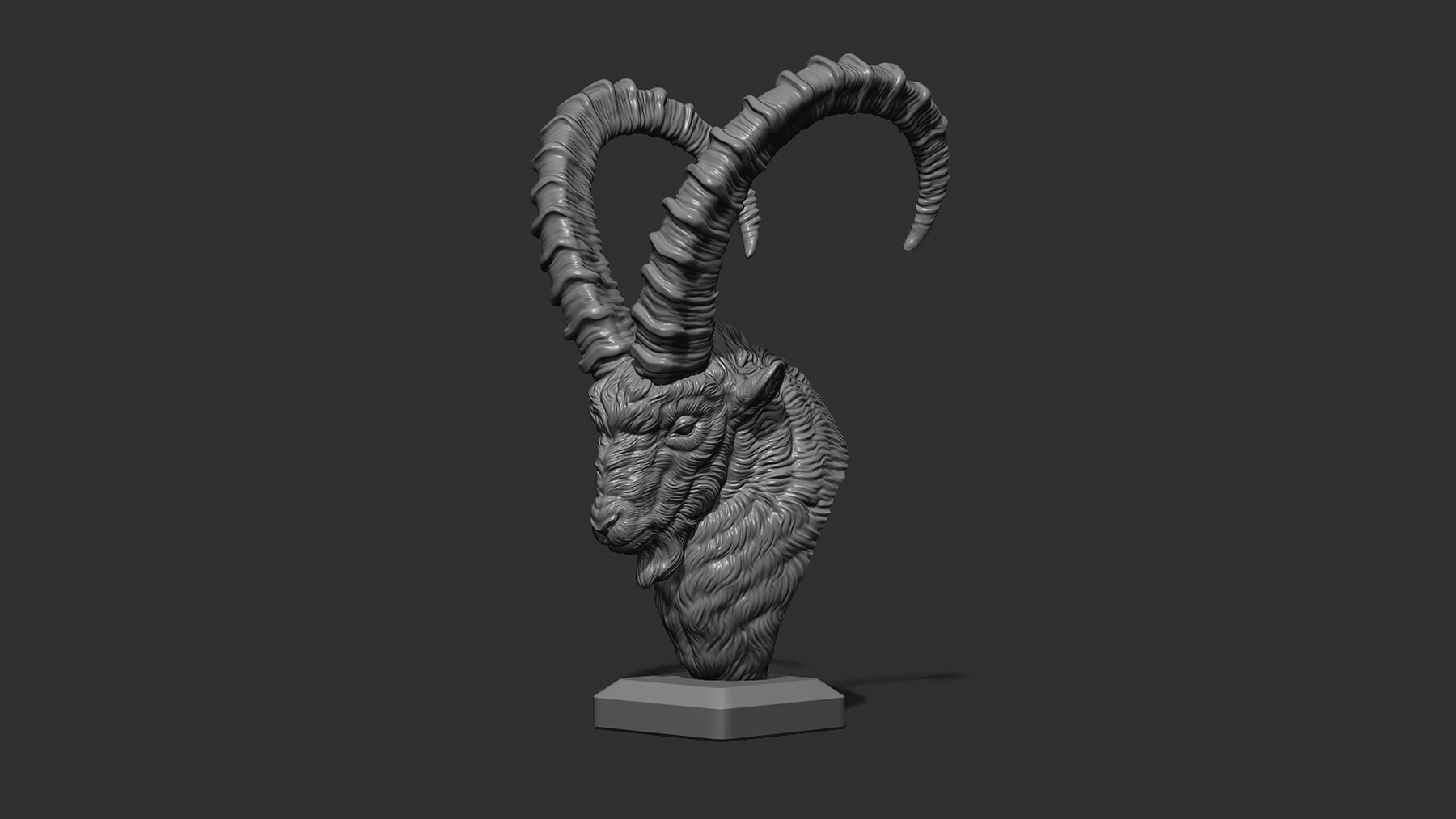 ArtStation - Nubian Ibex bust | Resources