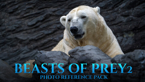 Beasts of Prey vol.2 -Photo Reference Pack For Artists 388 JPEGs noAI