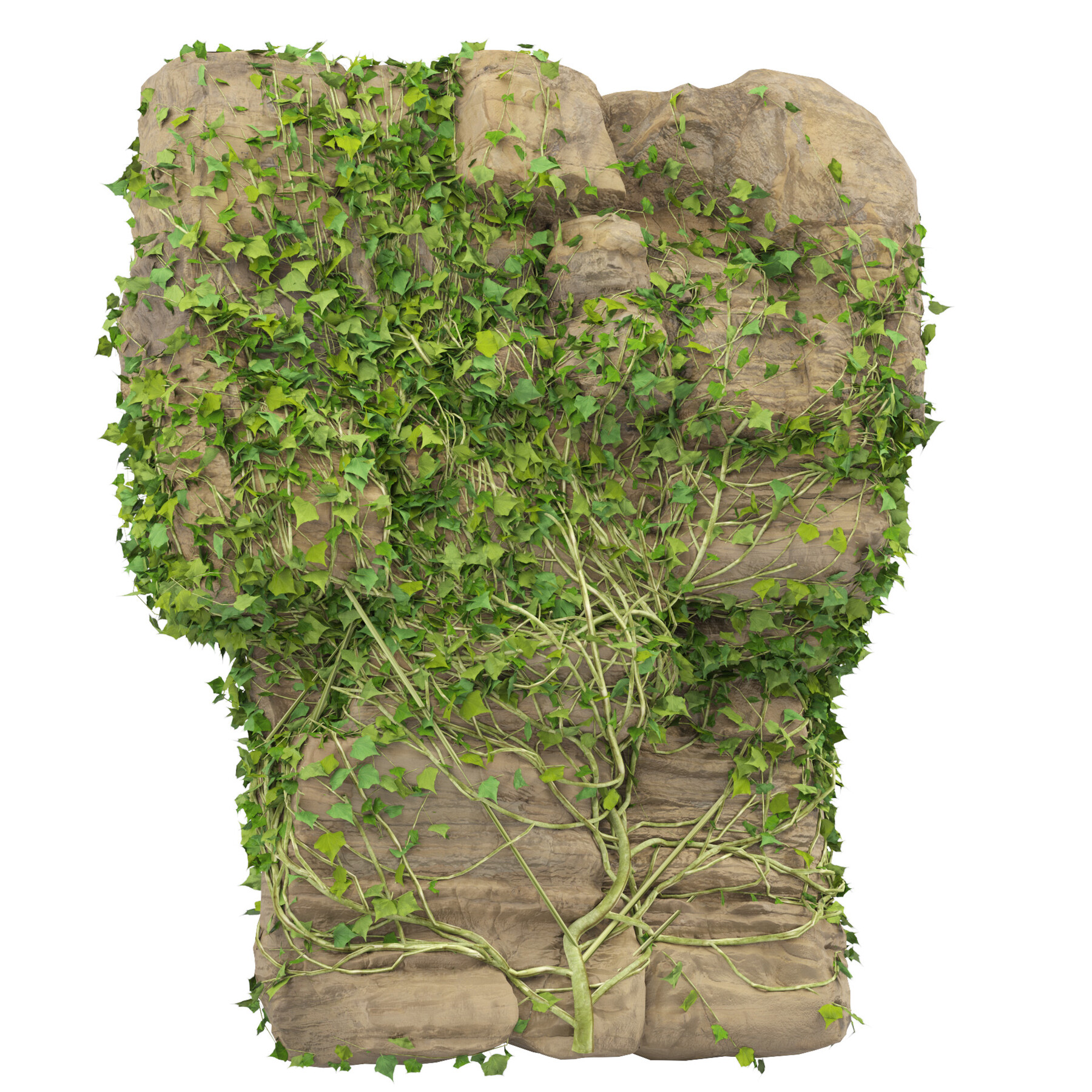 Mossy rocks and plants 3D model