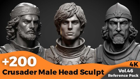 +200 Crusader Male Head Sculpt(4k)