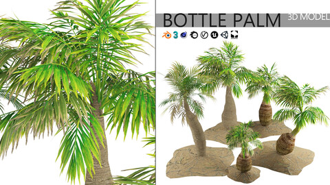 Low poly bottle palm trees 3d model