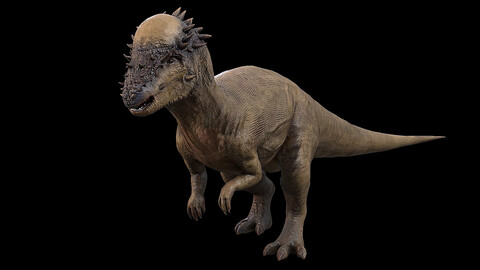 Pachycephalosaurus | Thick-Headed Lizard | Ngchipv