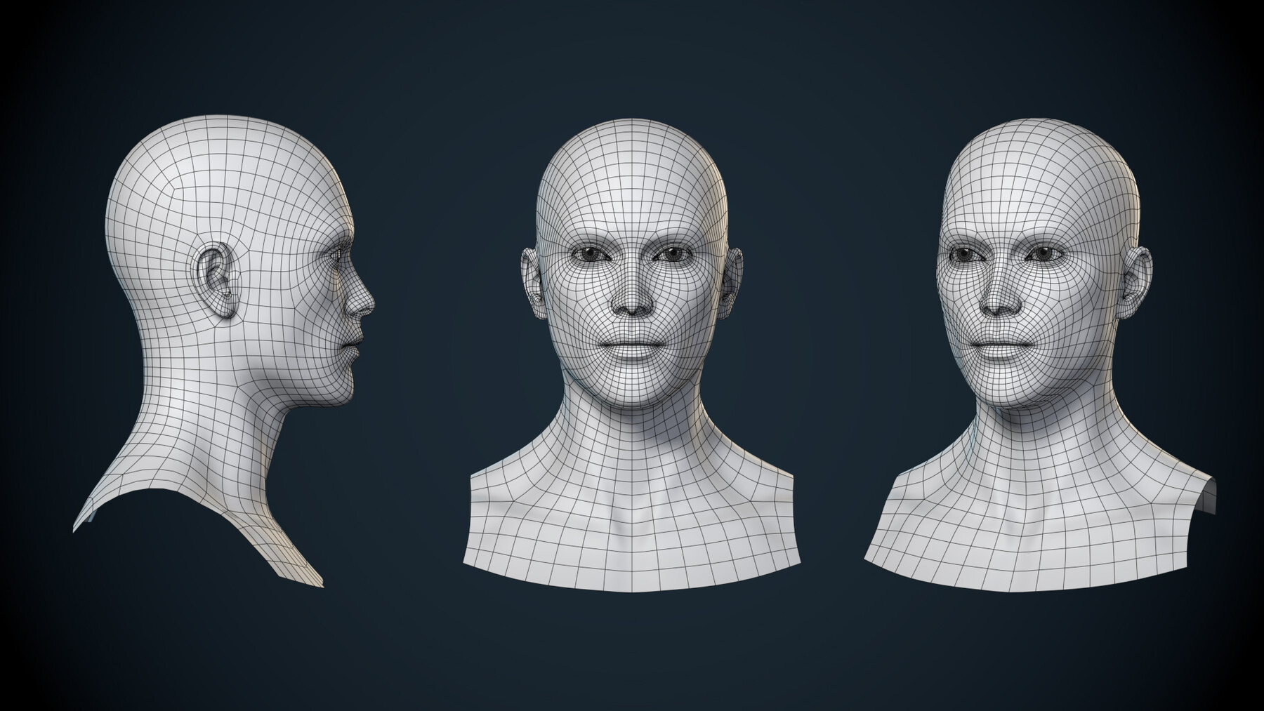 ArtStation - Female Head Basemesh - Game Ready | Resources