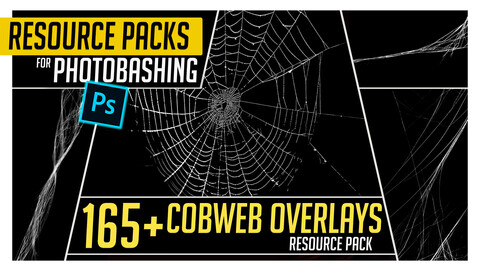 PHOTOBASH 165+ Spider Web Overlays Resource Pack Photos for Photobashing in Photoshop