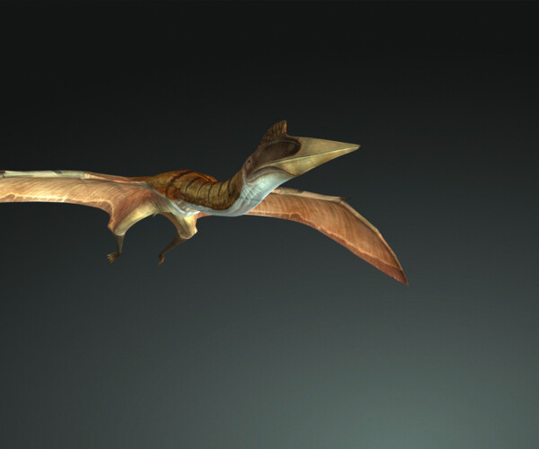 ArtStation - DINOSAUR Quetzalcoatlus ANIMATED BLENDER - FBX 3D MODEL ...