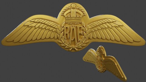 WW2 British Royal Air Force Wings I
