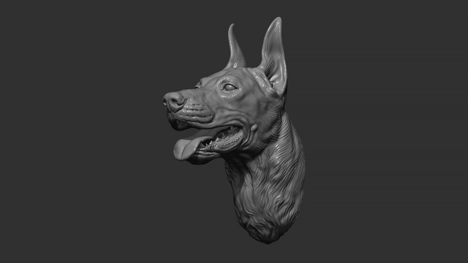 ArtStation - Doberman head | Resources