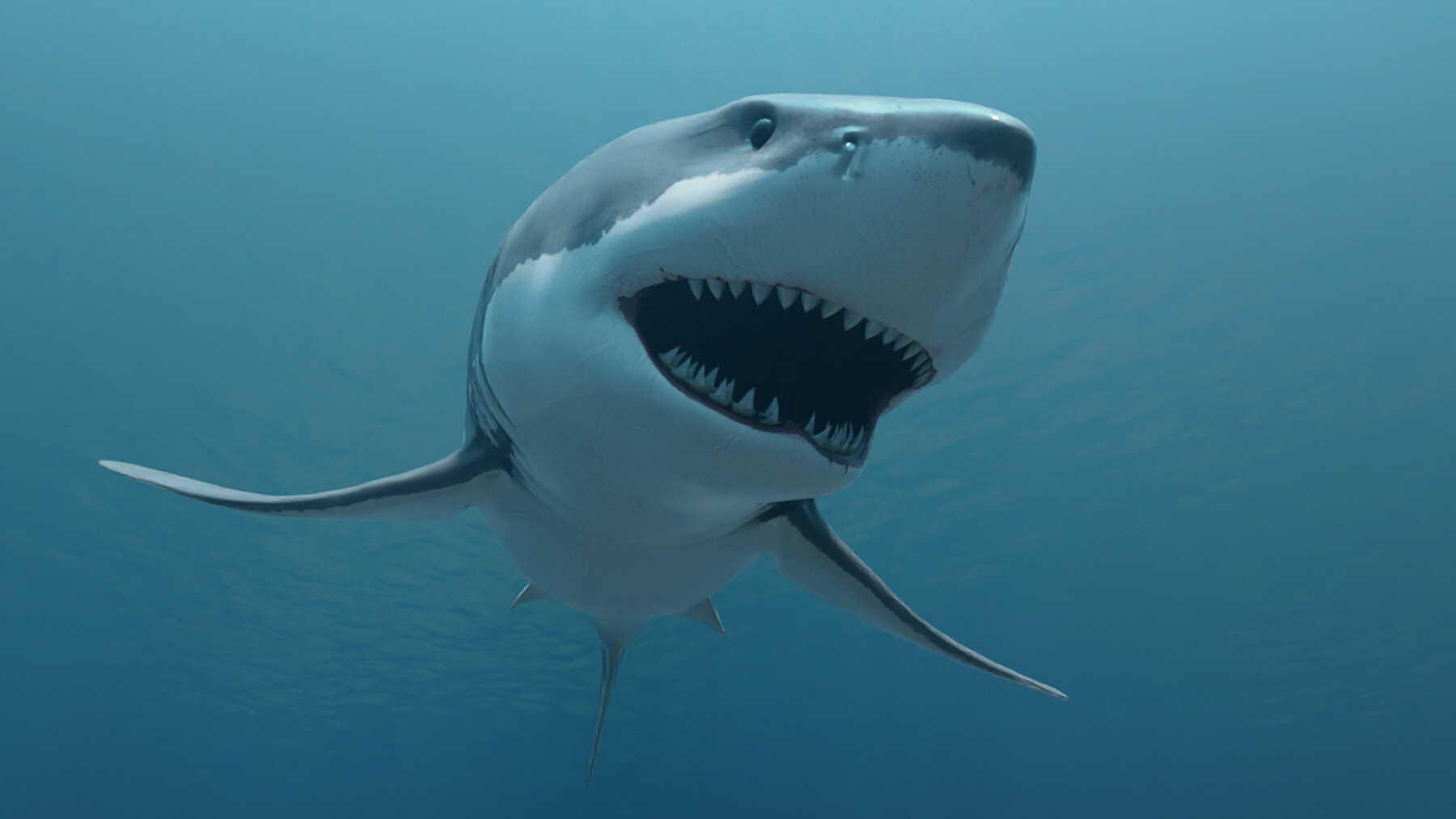 Great White Shark, 3D CAD Model Library