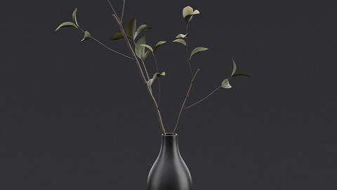 Tree Branch in Vase IV