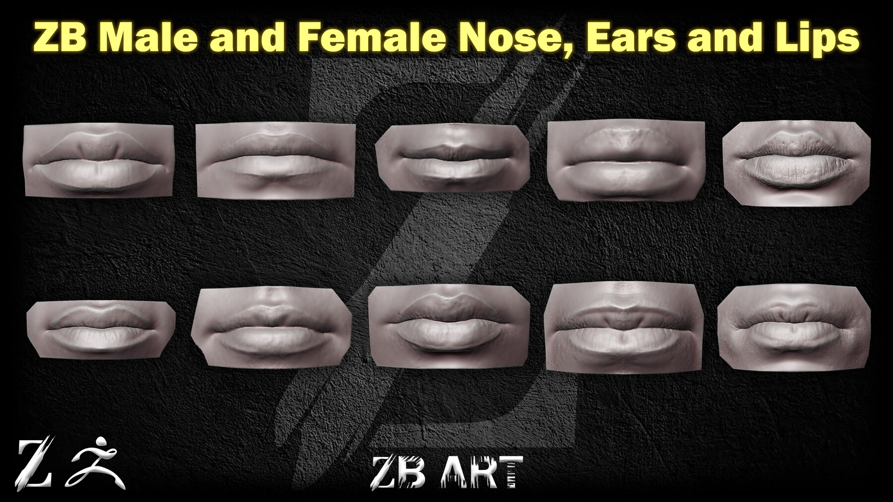 ArtStation - 60 ZB ART Male and Female Nose, Ears and Lips For ZBrush ...