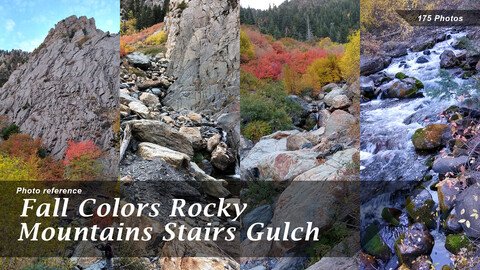 Fall Colors Rocky Mountains Stairs Gulch