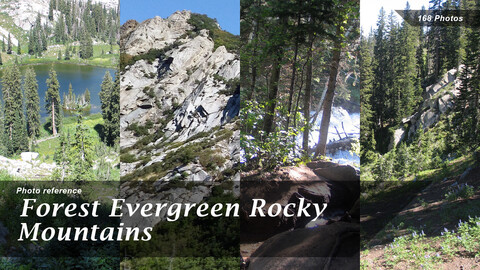 Forest Evergreen Rocky Mountains