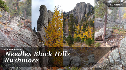 Needles Black Hills Rushmore