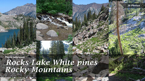 Rocks Lake White Pines Rocky Mountains