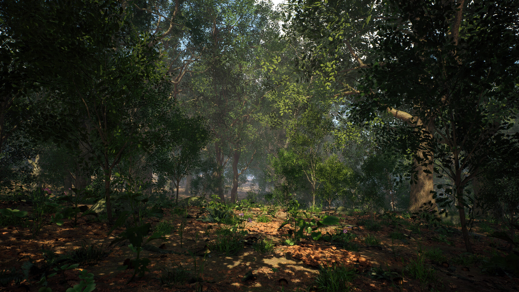 Leaf Tree Forest Biome in Environments - UE Marketplace