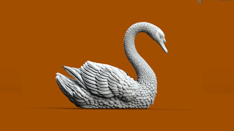 SWAN