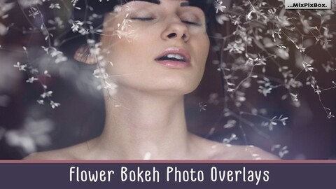 Flower Bokeh Photo Overlays