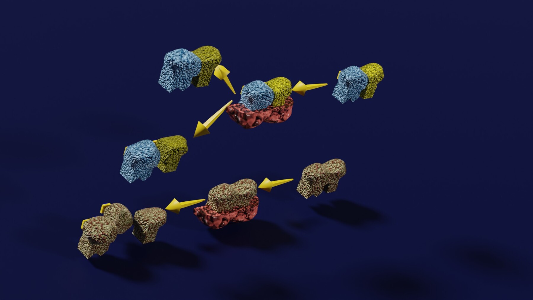 ArtStation - 3D enzyme substrate reaction product | Resources