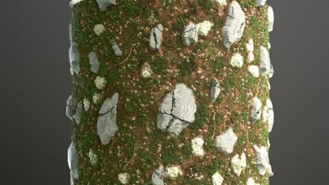 Rocky ground with moss Substance designer material