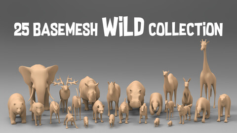 25 Basemesh wild collection-1