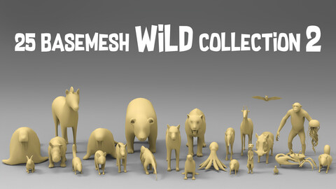 25 basemesh wild collection-2