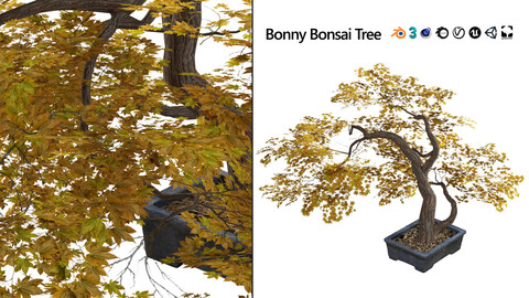 Fantastic fall Bonny Bonsai low poly 3D Model