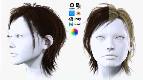 Realistic Female Short Hair-Pexie Cut