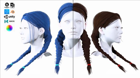 Female Braids Hairstyle