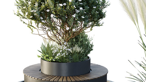 Tree and bush garden box outdoor VOL 21