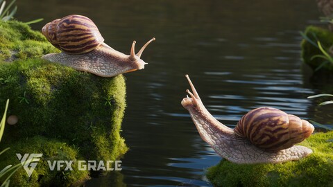 African Snail Animated | VFX Grace