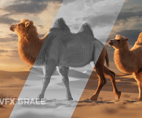 ArtStation - Bactrian Camel Animated | VFX Grace | Game Assets