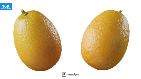 Kumquat Fruit Photorealistic 3D Scan 01 - Veedpo