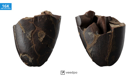 Cocoa Bean 3D Scan 10 Half Peeled  - Veedpo
