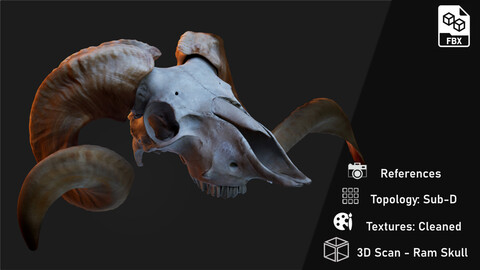 Scan: Ram Skull