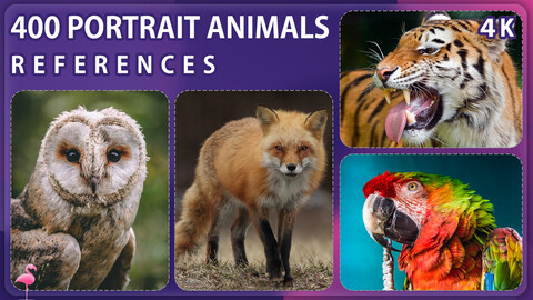 400 Portrait Animals Reference Pack – Vol 1