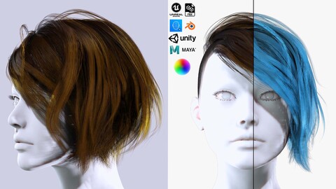 Female Asymmetrical Short Cut