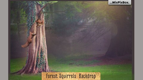 Forest Squirrels Backdrop