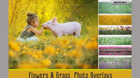 Flowers and Grass Overlays