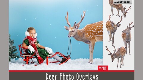 Deer Photo Overlays