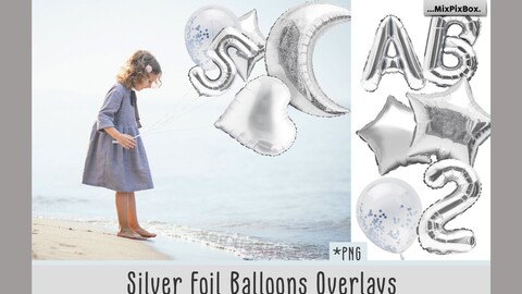 Silver Foil Balloons Photo Overlays