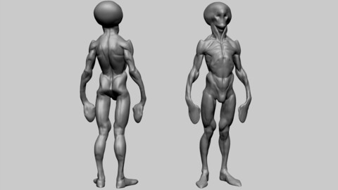 Speed Sculpt Creature G